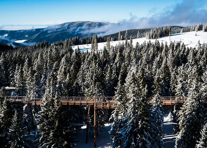 Rogla Alpina Residence