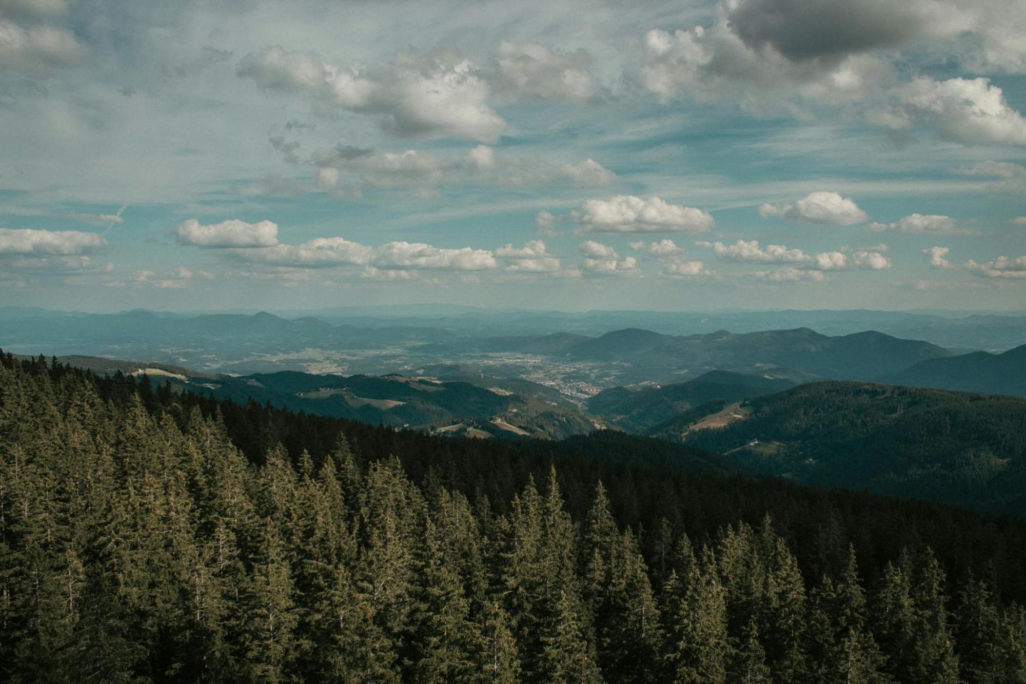 Rogla Alpina * Zrece